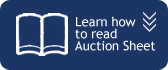 auction sheet guide