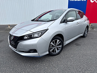 2021 NISSAN LEAF
